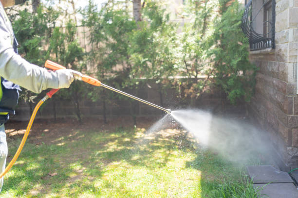 Best Fumigation Services  in South Hooksett, NH